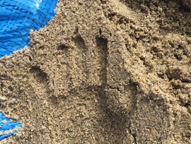 家づくり相談で数々の課題をクリアして実現する家