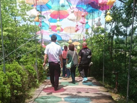 初夏の日帰りバスツアーに行ってきました♪♪