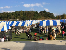 Tokai Eco Festa(東海エコフェスタ)開催!~Space Labo life~