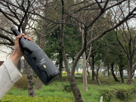 ?お花見?行ってきました~☔