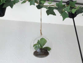 フェイクグリーンで飾りつけ ~Space Labo life~