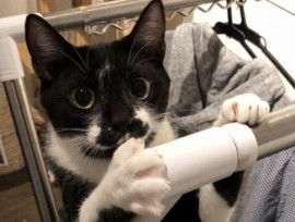 「stay home」の一コマ