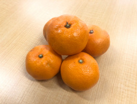 ごちそうさまです!