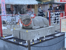 一年のスタートです!