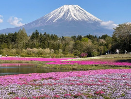 ゴールデンウィークはいかがお過ごしでしたか?