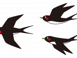 狭小住宅にお住いのつばめちゃん