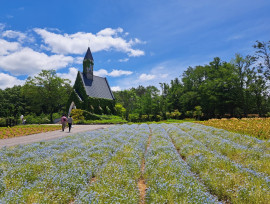 バスツアー 2023 in牧歌の里